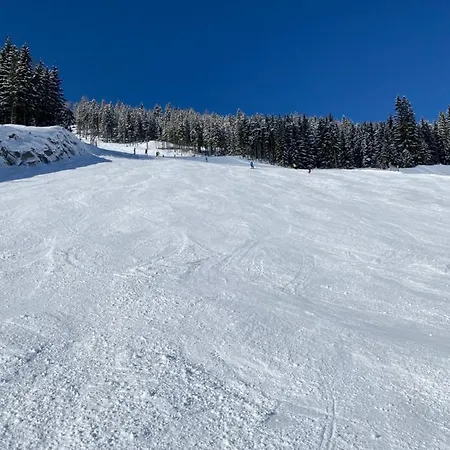 By Reiteralm - With Schladming-dachstein Summer Card Apartamento *