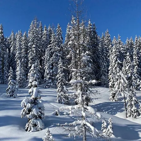 Appartamento By Reiteralm -ski In Out *