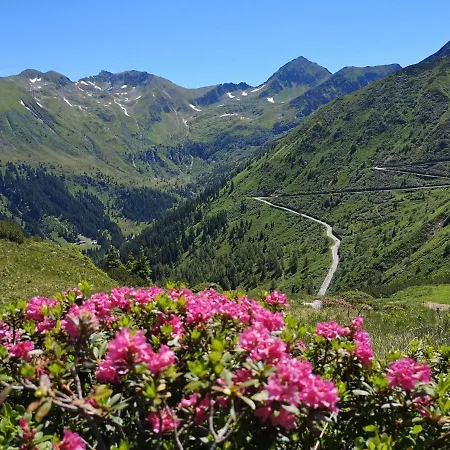 By Reiteralm - With Schladming-dachstein Summer Card Apartmán