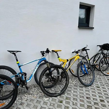 Appartamento By Reiteralm -ski In Out *