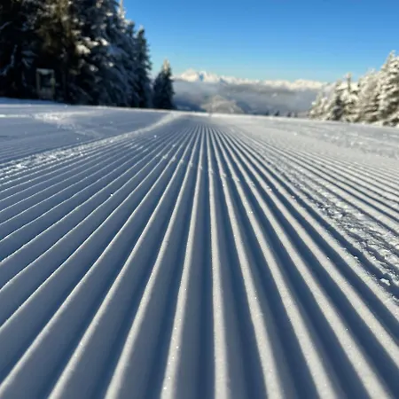 Lägenhet By Reiteralm -ski In Out *