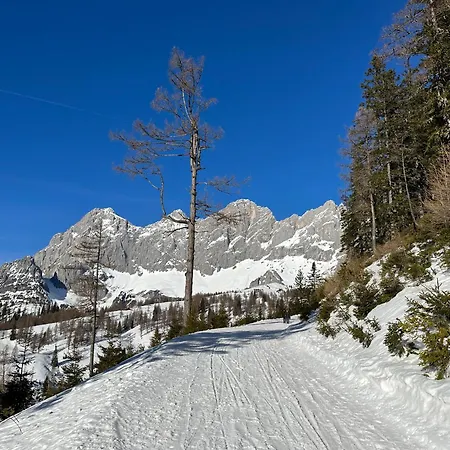 By Reiteralm - With Schladming-dachstein Summer Card *
