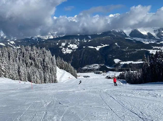 By Reiteralm -ski In Out 公寓