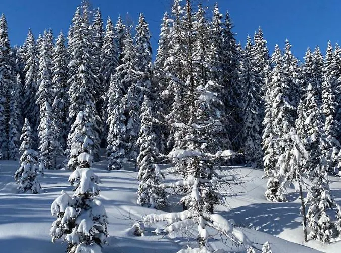 Apartment By Reiteralm -ski In Out *