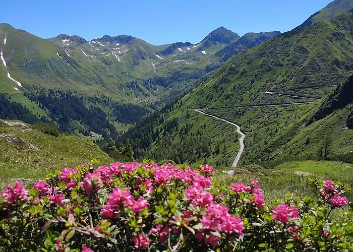 By Reiteralm -ski In Out Apartment