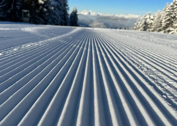 公寓 By Reiteralm -ski In Out *